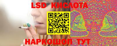 индика Пенза