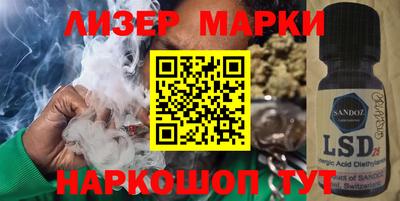 индика Пенза