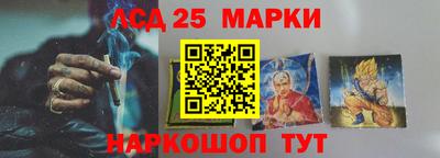 индика Пенза