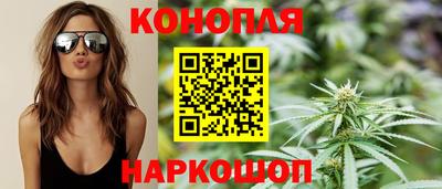 индика Пенза