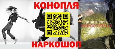 индика Пенза