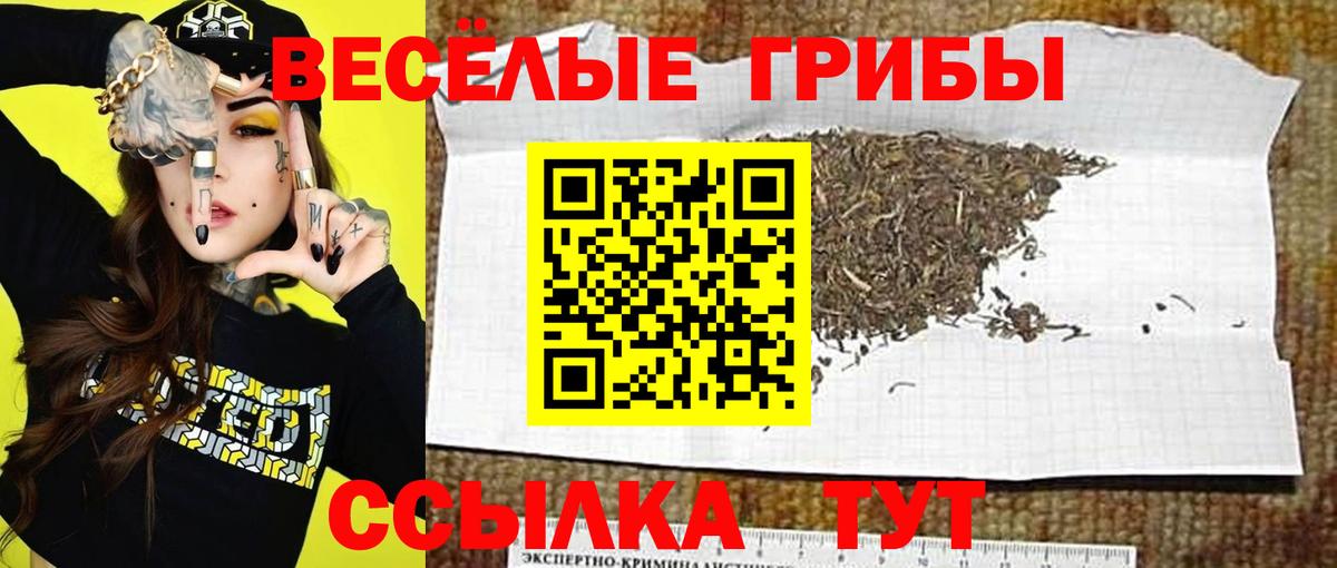 Псилоцибиновые грибы Cubensis Ялта